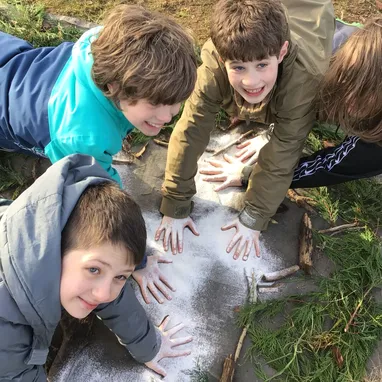 Forest Schools
