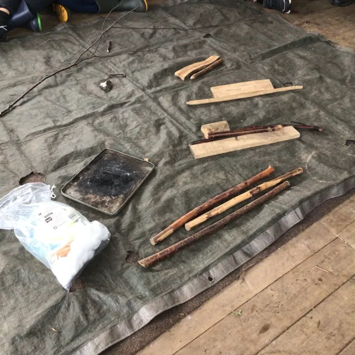 Forest Schools