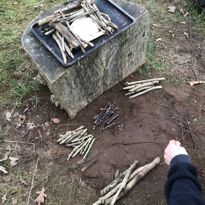 Forest Schools