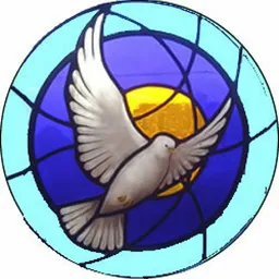 The DOVE window