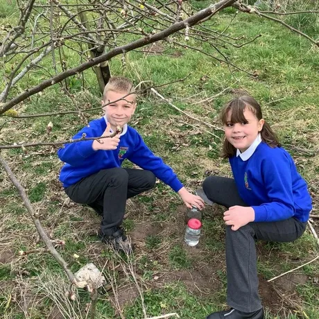 Y3 soil fieldwork 2