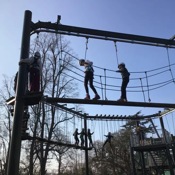 High ropes