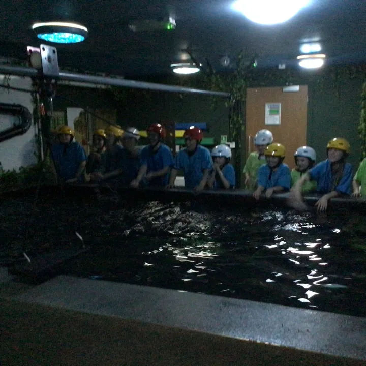 Piranha pool
