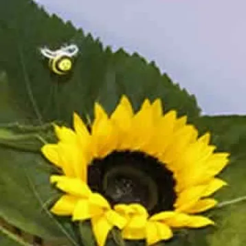 Honey and Bee