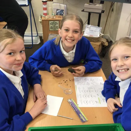WM Session 3