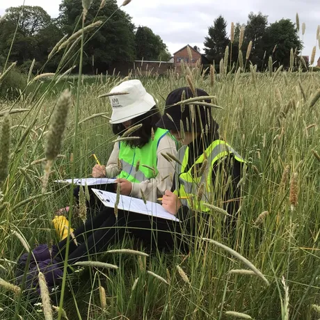 Y5