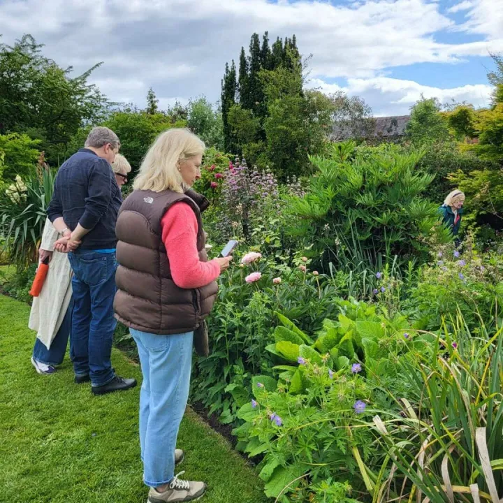 Open garden
