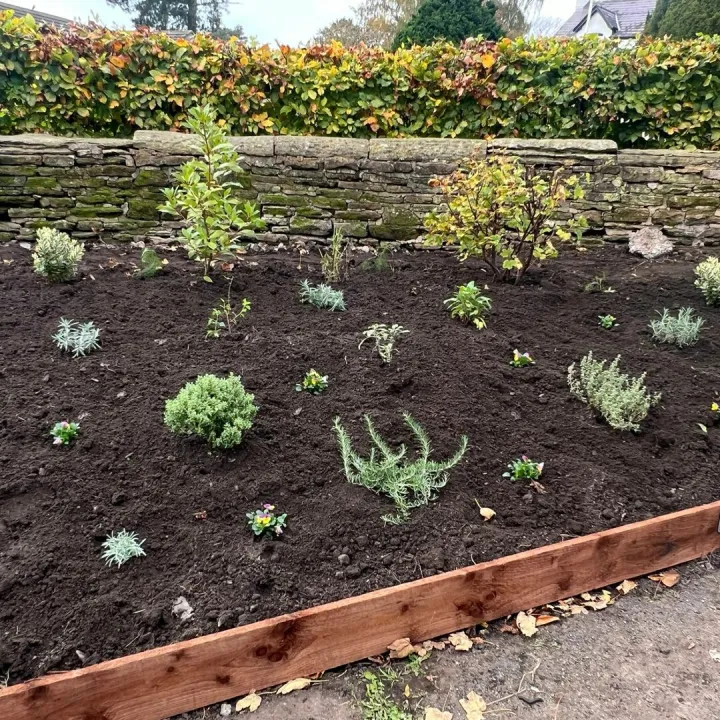 church St Oct 24 first planting
