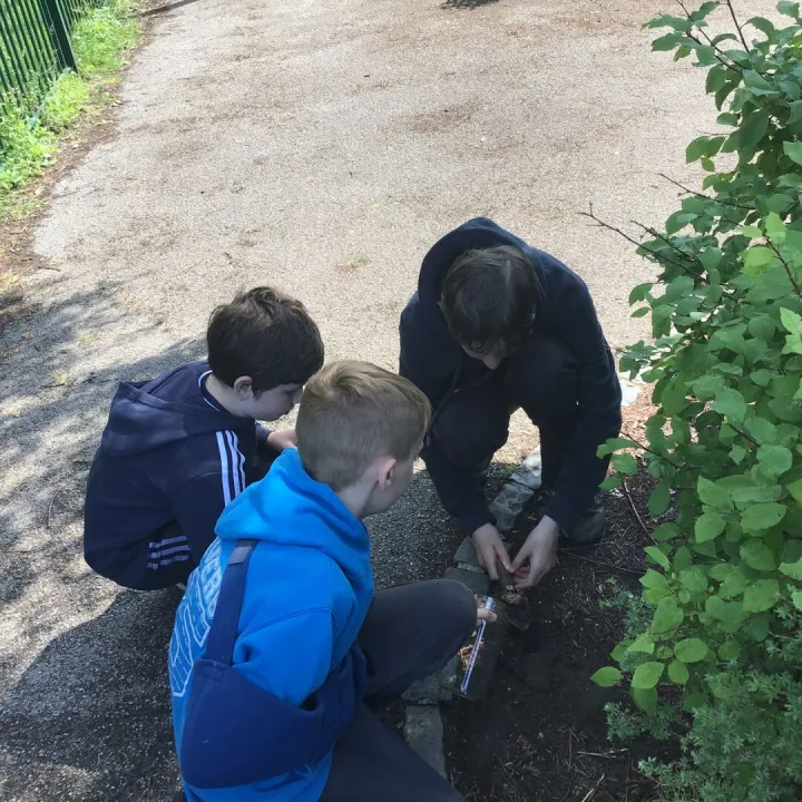 Soil1