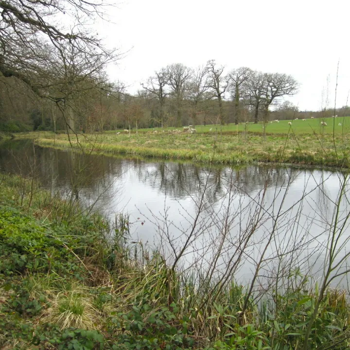 Lake, Chillington
