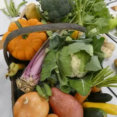 HHS Show Veg 2025_01