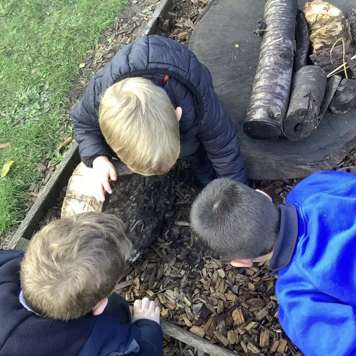 Bug hunting