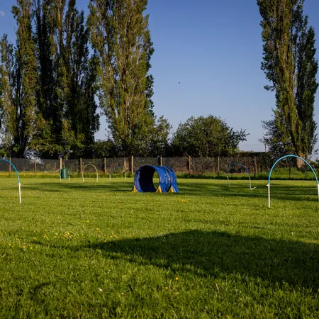 Hoopers Field 3