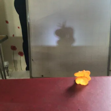 582218df-2db4-4b93-Bebe-69b1a06db79a