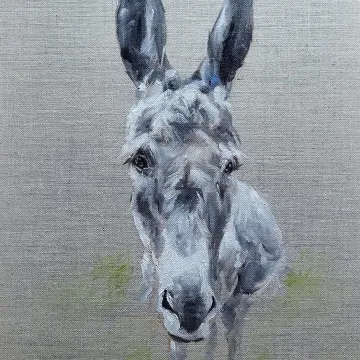 Gallery_page_equine12