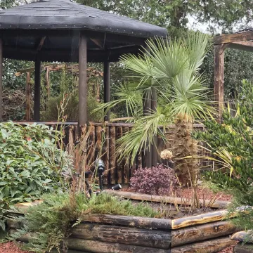 Whatsapp Image 2026-02-13 At 14