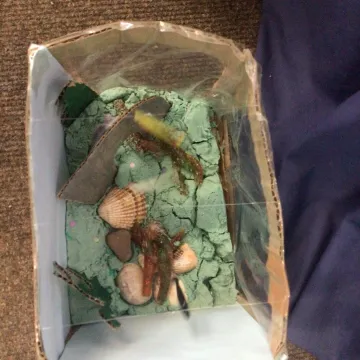 F6d053ac-Def4-4f5f-96d5-18e174201d0c