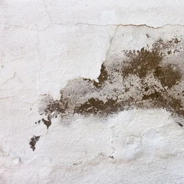 Damaged white wall texture