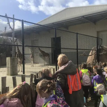 2524c42a-9e89-48be-84ab-5426fa7e4e89