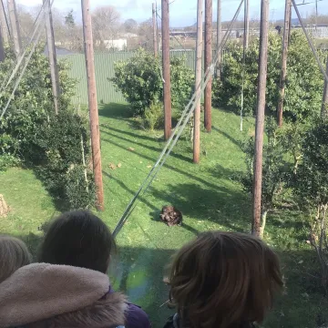 511673d0-C035-4e88-B9bf-13bcf70a0635