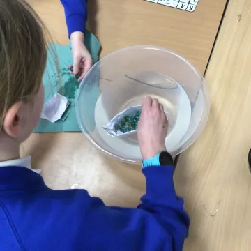 C59c13ca-E08c-4510-B358-1b8fd8bc7f10