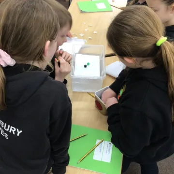 2e13e624-4f4f-444d-A9aa-5e1d624247aa