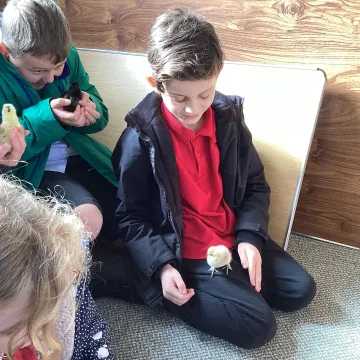 20260318_100043769_ios