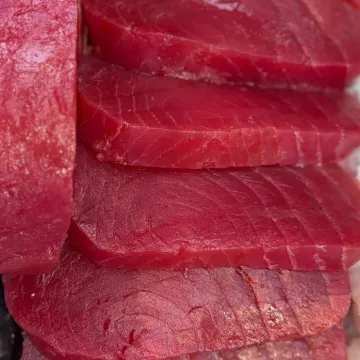 Fish 03