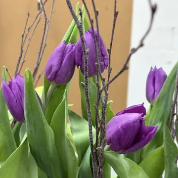April 8 Flower Club
