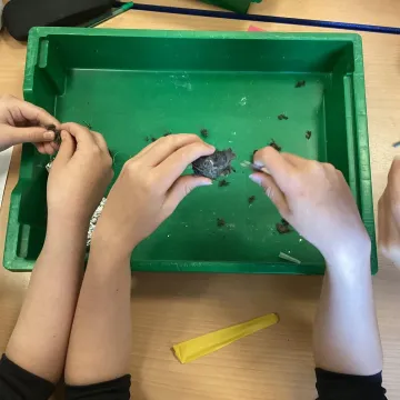 Owl3