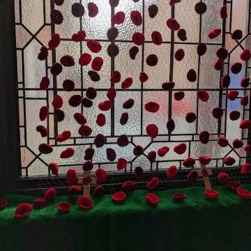 Poppies