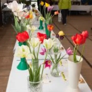 Spring Show 19