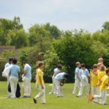 Junior Cricket 04