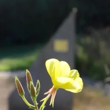 Last Import   11 of 20