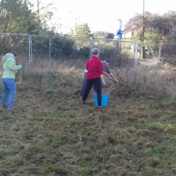 Gardening (3)