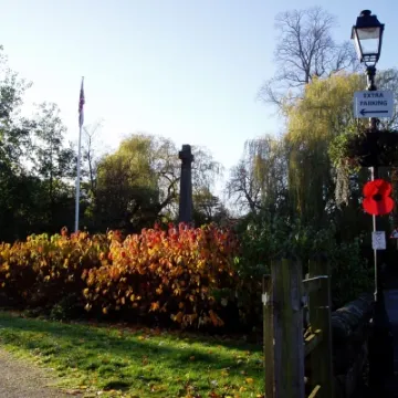 November Sunshine (2)