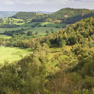 Maiden Castle in August 24