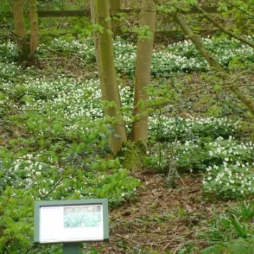 Woodland Signage (4)