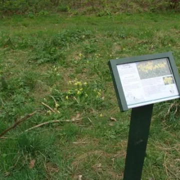 Woodland Signage (1)