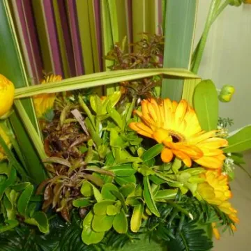 Flower Club April 2017 P1030230