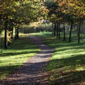 Tarvin Community Woodland