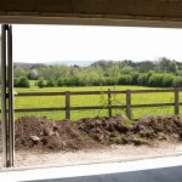 Room with a View