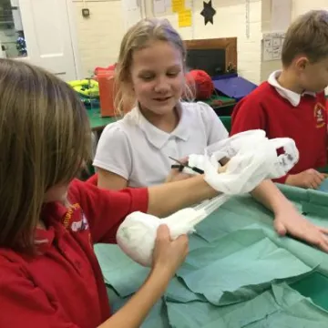 2B3D03EA-F37F-47B6-869B-803F363A11E8