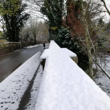 24909979_1752182134793635_3946612656690686081_n