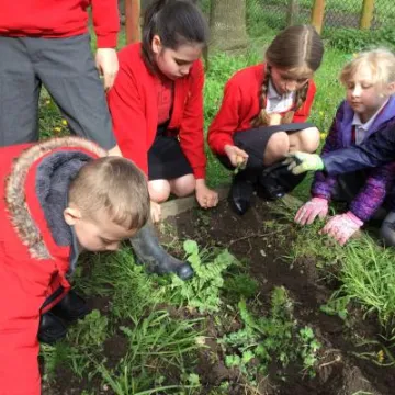 8844EC5C-947E-4C0C-A5D2-A94C75AFF0CF