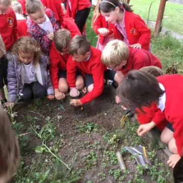 004E4ED8-2E5E-4E99-9AE4-11962C631272