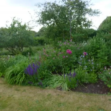 garden2 200618