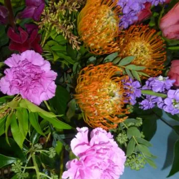 Flower Club Sept 2018 P1030585