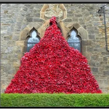 Etherley Methodist Church poppies