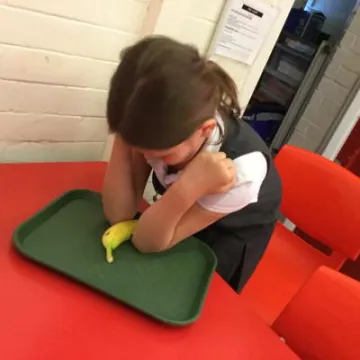 EFCBF034-CB59-4554-8BD4-DCCDC33BA286